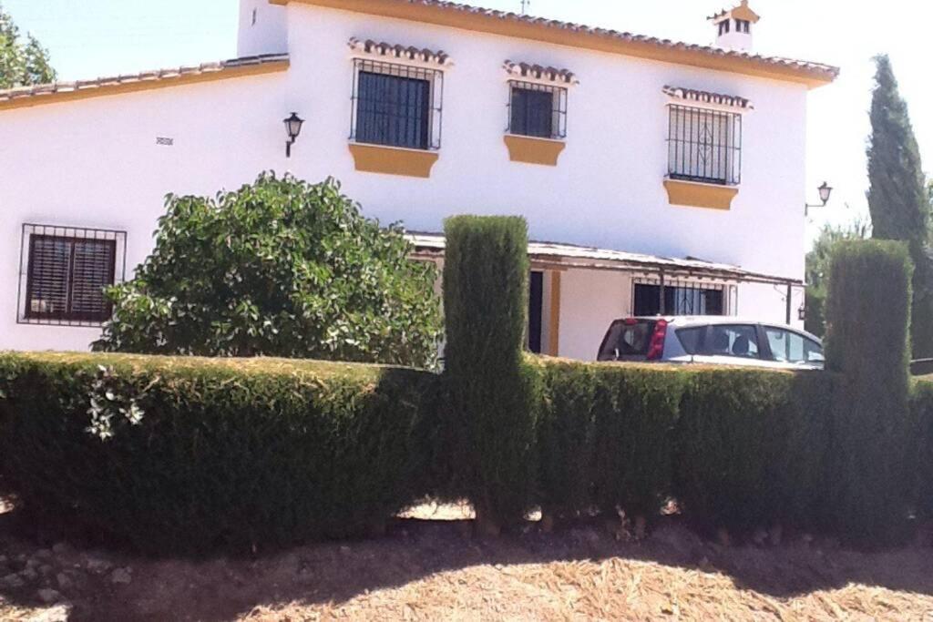 Finca Los Abetos Villa Villanueva del Rosario Exterior foto
